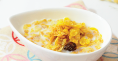 គ្រាប់ធុញ្ញជាតិ