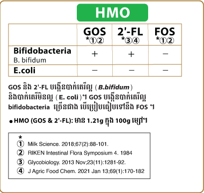 មាន Oligosaccharide ពីរប្រភេទ